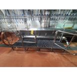 inspection station w/ trough, stainless steel, approx. 30 in. x 120 in. [Evisceration 2]