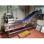 inclined fluted belt conveyor, stainless steel frame, approx. 18 in. x 3 ft. x 80 in. high w/