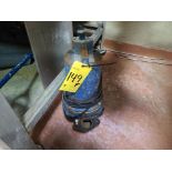 Barnes sump pump, 0.5 hp [Anti-Evisceration 1]