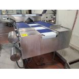 3-lane belt conveyor, stainless steel frame, approx. 14 in. x 67 in. ea. w/ (2) washdown motors [