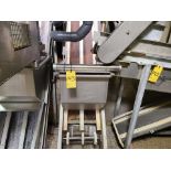 inclined belt conveyor (no belt), approx. 18 in. x 40 ft. w/ washdown motor [Offal]