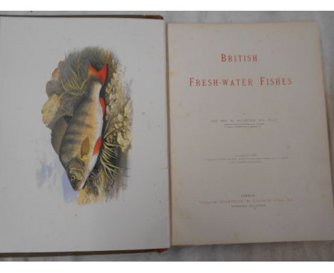 HOUGHTON, W. British Fresh-Water Fishes (1879), London, fol. cont. quarter moroc. lacking leather from backstrip 41 cold. plt