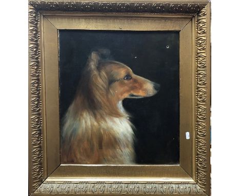 English school - Study of a long haired dog, oil on canvas, 44 x 40 cm to/w Scott - Study of a dog, oil on board, signed, 30 