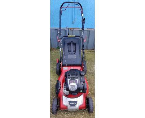 Cobra petrol mower with Briggs &amp; Stratton engine