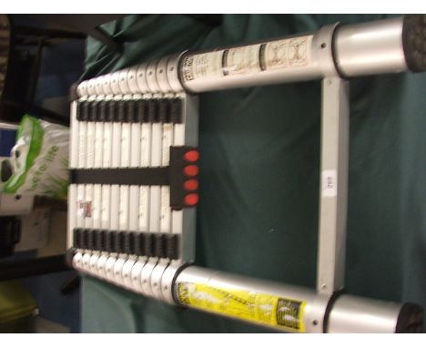 A Professional Folding Ladder. 