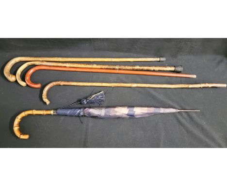 FOUR WALKING STICKS AND VINTAGE UMBRELLA one stick with carved face of a dog, the umbrella with gilt mounts and bamboo handle