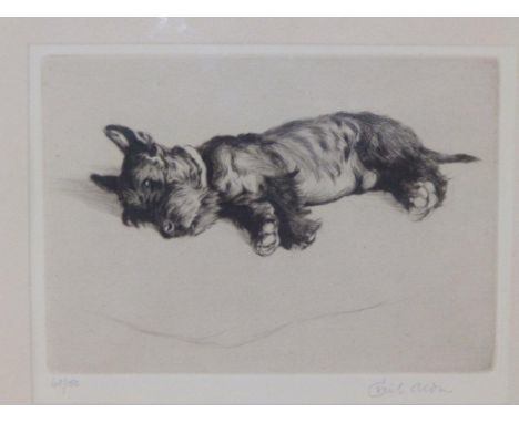 Cecil Aldin – black & white etched limited edition print – 'After Dinner rest awhile', a reclining terrier, signed in pencil 