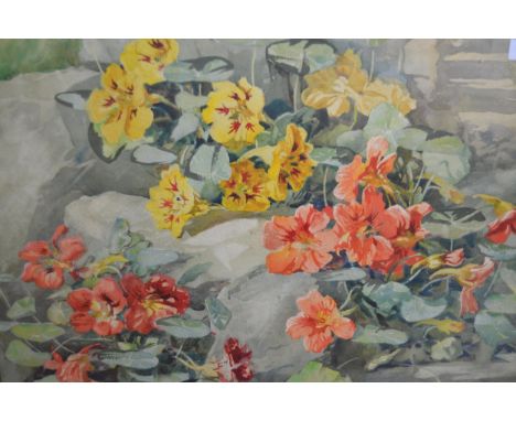 Amy Reeve-Fowkes, watercolour, botanical study, signed, 39 x 51cm, gilt framed, together with another watercolour by the same