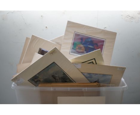 Large collection of limited edition prints 