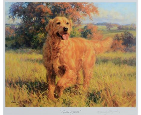 AFTER FREDERICK J.HAYCOCK Golden Retriever, limited edition colour print, no. 254/350, signed and numbered and titled on the 
