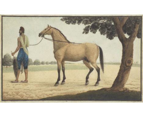 A stallion and its Sikh groom Delhi, or possibly Punjab, circa 1850gouache on watermarked paper, black margin rules, laid dow
