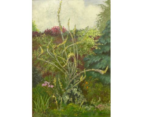 Prudence 'Prue' Rowe-Evans (British 1921 - 2005), Verbascum, oil on panel, 60 x 40cms, framed