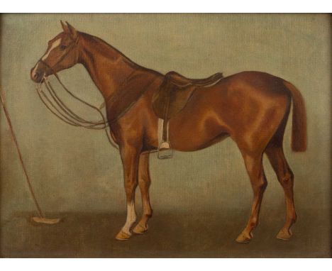 Pair of late 19th/early 20th Century English equestrian studies 'Bass' study of a horse, oil on canvas, unsigned, 22cm x 29cm