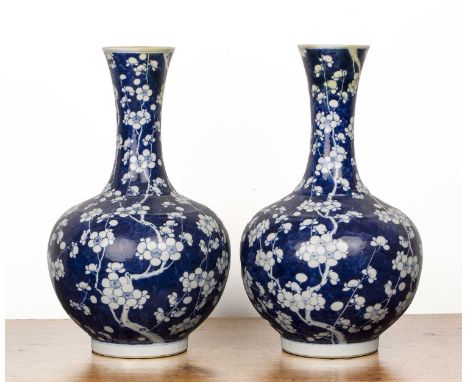 Pair of blue and white porcelain vasesChinese, 19th Centuryboth painted with prunus blossom, and trailing branches, and with 