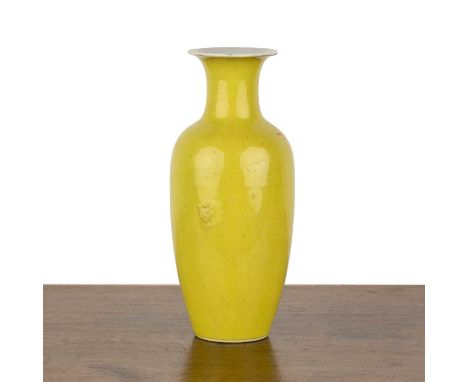 Yellow ground porcelain vaseChinese, 18th/19th Centurywith two underglaze blue Kangxi style ring marks to the base, 24cm high