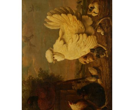 MANNER OF MELCHOIR D'HONDECOETER (1636-1695) Chickens with chicks, oil on canvas laid on panel, 24.25" x 29.25", and the comp