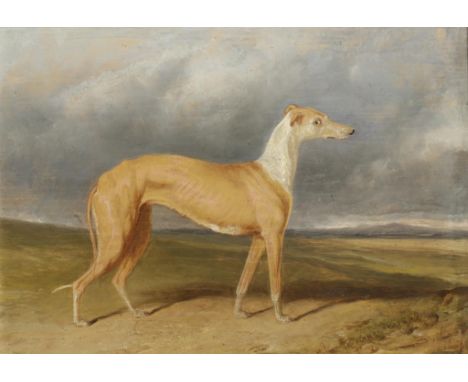 CHARLES HANCOCK (1802-1877) 'General Colin Mackenzie's Greyhound Stella, signed and dated 1839 lower left, oil on panel, 8.25