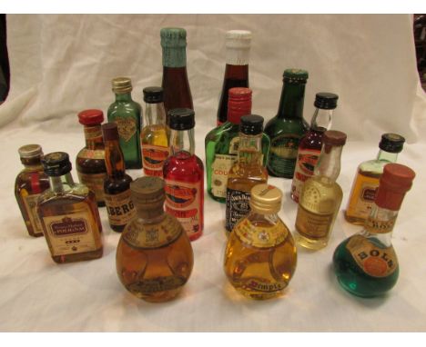 Eighteen small and miniature bottles including Babycham, Dimple Scotch whisky, Drambuie, etc (all but two bottles with conten