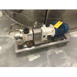 Wright Flow Positive Displacement Pump Model CPP RO300X S/N 53793/A/11