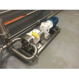 Wright Flow Positive Displacement Pump Model R1300X S/N 11L0882