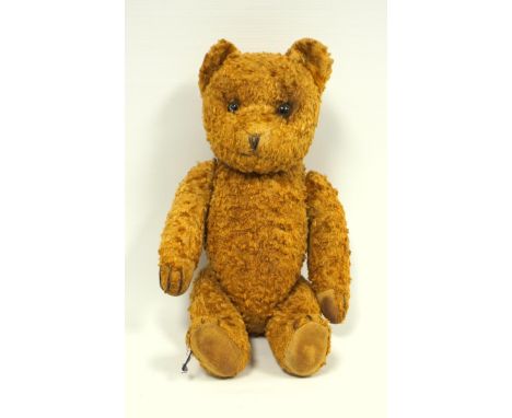 Vintage teddy bear, probably by Farnell dark golden mohair with stitched noes, glass eyes, rounded belly and slight hump to b