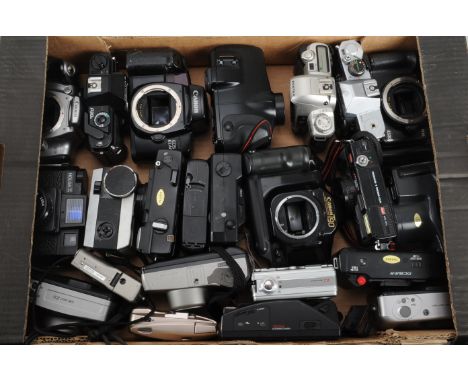 SLR Camera Bodies and Compact Cameras, including a Canon T90 body, a Canon EOS Elan body, a Canon 300D DSLR body, a Canon 450