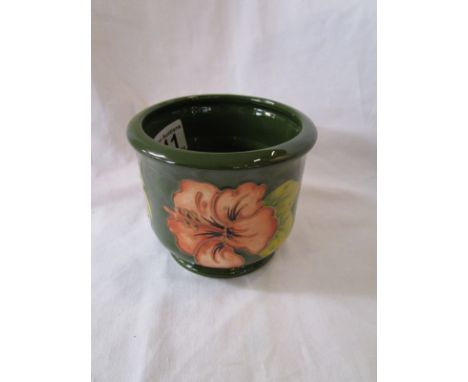 Hibiscus Walter Moorcroft planter