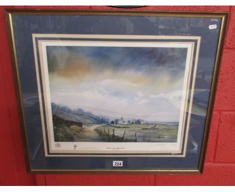 L/E signed print - 'Moving Light' by Ashley Jackson