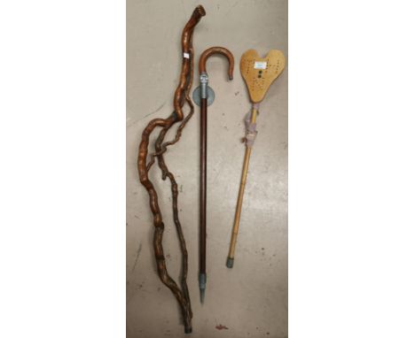 A 19th century polished vine walking stick; 2 shooting sticks 