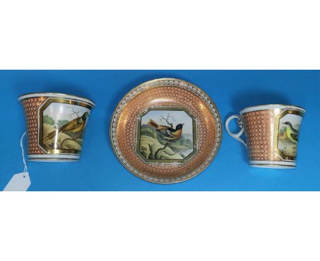 A Chamberlains Worcester tea cup and saucer, and matching coffee cup, decorated with birds:  Olive Brown Creeper, Yellow Wagt