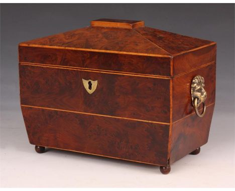 A Regency boxwood strung Burr Yew Wood sarcophagus TEA CADDY with brass lions mask and ring side handles, divided lidded inte