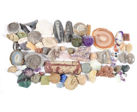 Minerals. Miscellaneous specimens and several crystals, polished, including amethyst, jasper, lapis lazuli, agate and various