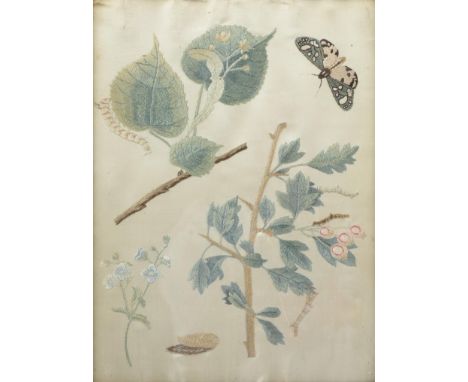 An embroidered silk picture of a caterpillar, butterfly and sprigs, late 18th or early 19th c, worked in coloured silks in va