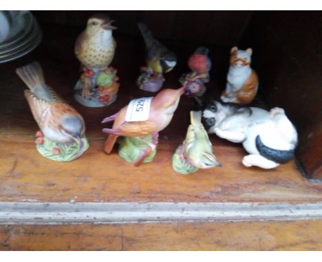 Royal Worcester - 6 birds including Thrush, Nightingale etc., largest 12cm high together with a ‘Short Haired Cat’ modelled b