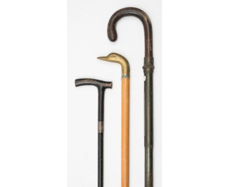 An early 20th century thermometer walking stick:, with sliding collar revealing two apertures for  thermometers ( both missin