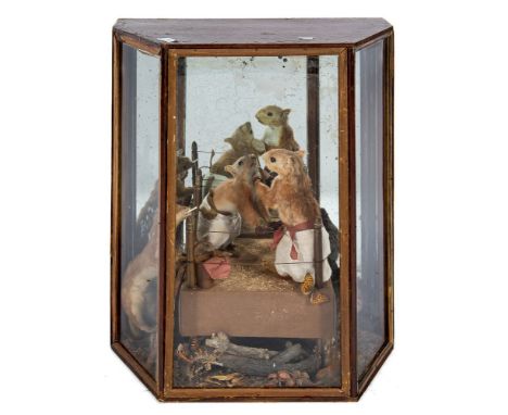 An early 20th century Potteresque taxidermy boxing scene:, the red squirrel pugilists wearing shorts and leather gloves in a 