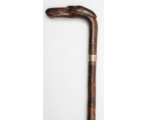 An early 20th century carved dog's head handled walking stick:,  with inset eyes and silver ferrule to shaft, 87.5cm long. 