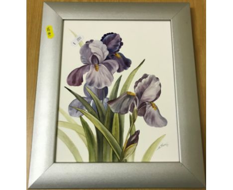 JAMES SKERRET "Iris" a botanical study, oil on porcelain panel, signed lower right, inscribed verso "James Skerett, Worcester