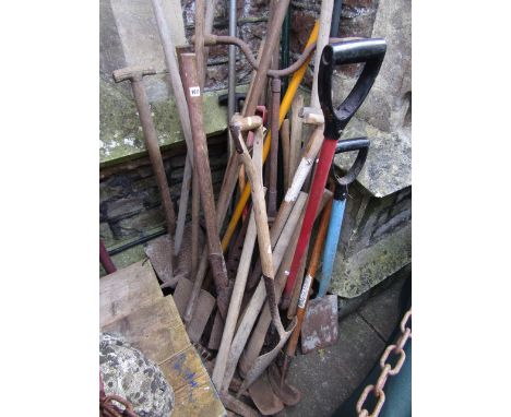 A large quantity of vintage garden tools, many with ashwood handles including spades, pick axes, shovels and other tools