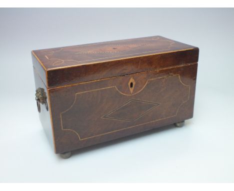 A 19TH CENTURY MAHOGANY INLAID TEA CADDY, satinwood and boxwood banding and detail, lion mask and ring turned handles, raised