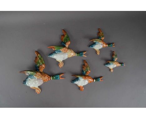 A set of five ceramic graduated Beswick wall mounted ducks, numbered 596/0 to 596/4, the largest 30cm in length, all with pri