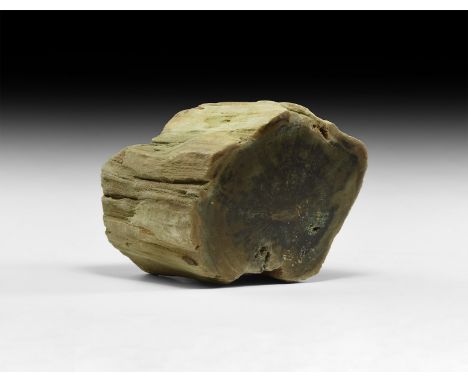 Jurassic Period, circa 199-145 million years B.P. A cut and polished section of fossilised tree.  1.26 kg, 11.5 cm (4 1/2 in.