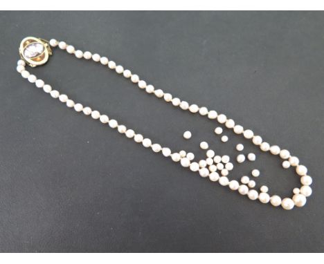 A cultured pearl single-row necklace - To the early 20th century gold and enamel cameo oval clasp - Length 42cms - Weight of 
