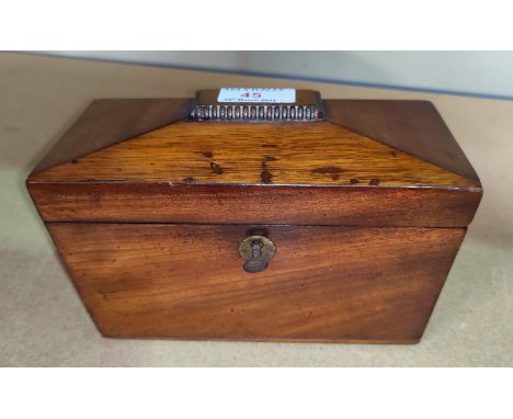 An early 19th century mahogany tea caddy, sarcophagus shaped with 2 divisions 