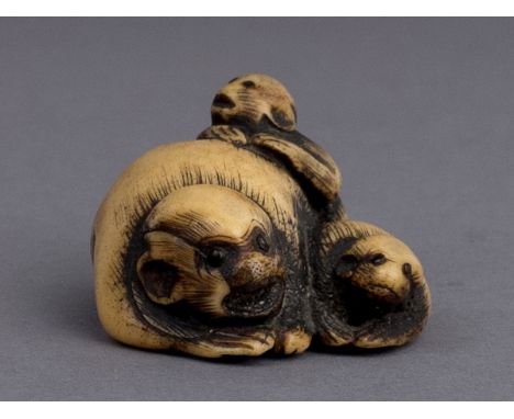 An 18th century Japanese netsuke from Edo period. Not signed. In carved elephant ivory portraying three apes bent down and pl