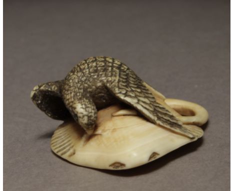 A late 19th century Japanese netsuke from Meiji period. Not signed. In carved ivory portraying an eagle with its wings wide o