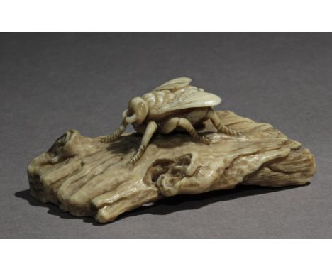 A Japanese netsuke from Meiji period circa 1900. Signed Yama Aki? on the base. In carved elephant ivory and hornportraying a 