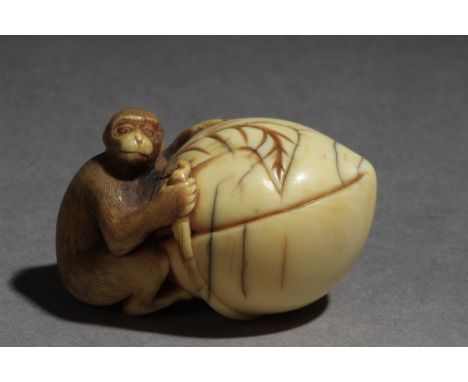 An early 19th century Japanese netsuke from Edo period. Not signed. In carved elephant tusk portraying a monkey sat on the fl