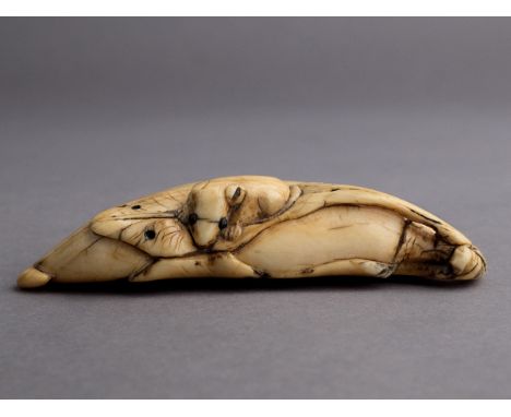 An 18th century Japanese netsuke from Edo period. Not signed. In carved elephant ivory portraying a mouse with horn eyes over