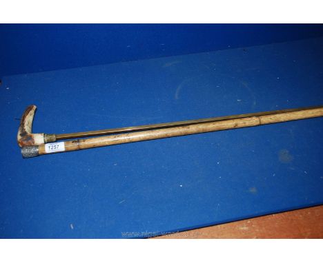 A Horse measuring Stick with silver band